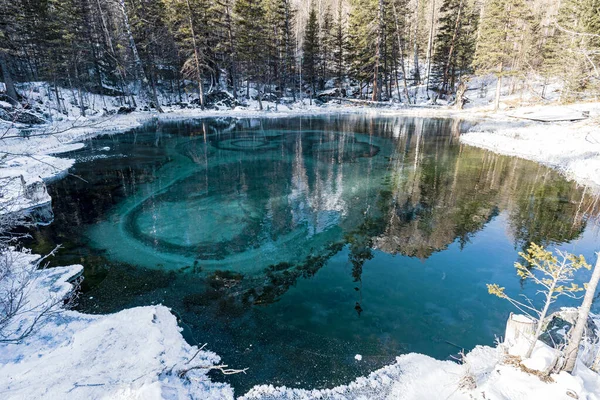 Fantastico Lago Geyser Blu Nella Foresta Autunnale Altai Russia — Foto Stock
