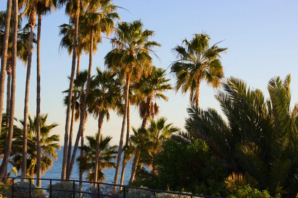 Hermosa vista de la costa — Foto de Stock