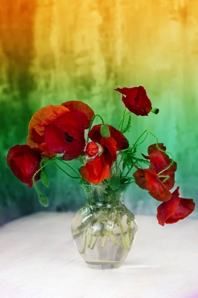 一束红色的罂粟花在玻璃花瓶里 色调的图像 复制空间 假期背景 — 图库照片