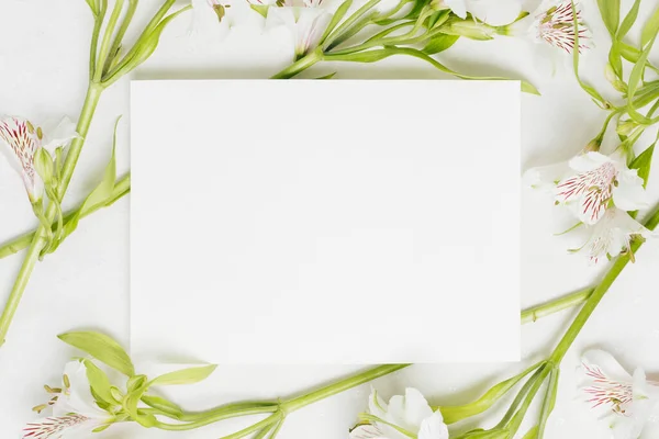 white blank placard surrounded with alstroemeria flowers