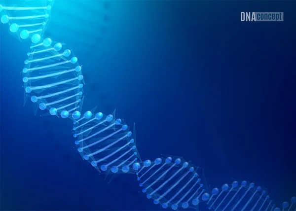 DNA science technology vector background for biomedical, health, chemistry design. Chromosome concept. 3D style pattern in dark blue color