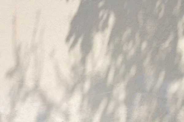 Copiar Parede Concreto Branco Espaço Com Sombras Resolução Alta Qualidade — Fotografia de Stock
