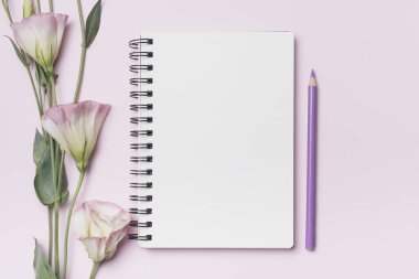 Pembe arka planda mor kalemli boş spiral defterli Eustoma çiçekleri. Çözünürlük ve yüksek kaliteli güzel fotoğraf
