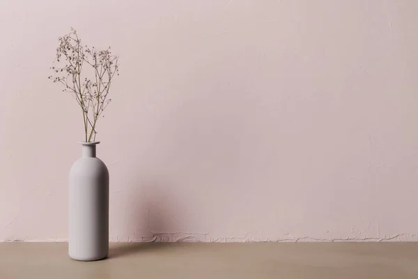 Decorative Plant Minimal Vase Resolution High Quality Beautiful Photo — Foto de Stock