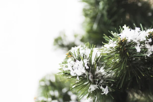 Fir Tree Snowflakes Twigs Resolution High Quality Beautiful Photo — 스톡 사진