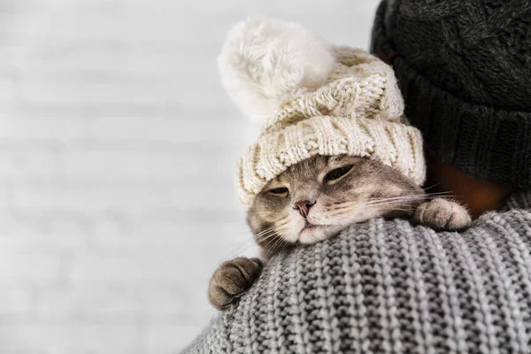 Copy Space Cute Cat Wearinf Fur Cap Winter Resolution High — Stock Fotó