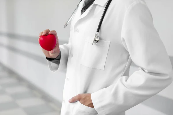 Doctor Hand Holding Plush Heart Resolution High Quality Beautiful Photo — ストック写真