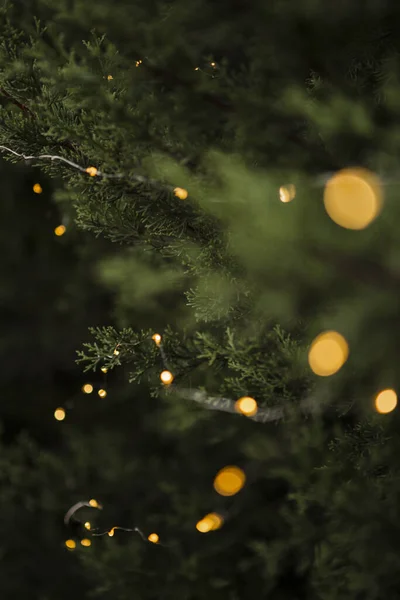 Decoração Natal Com Belas Luzes Árvore Resolução Alta Qualidade Bela — Fotografia de Stock