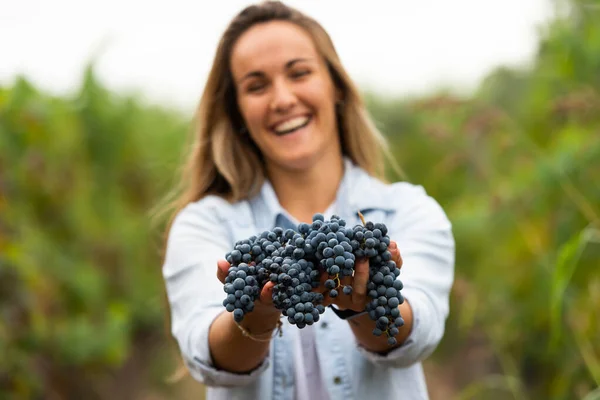 Donna Sorridente Che Tiene Grappoli Uva — Foto Stock