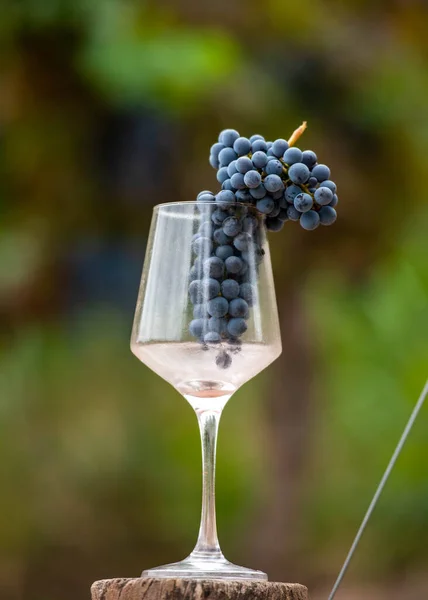 Tazza Vetro Con Uva All Interno — Foto Stock