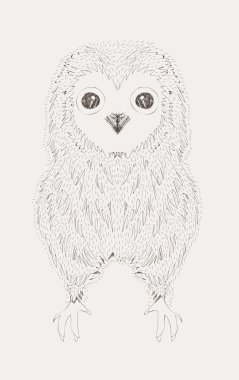 elle çizilmiş vektör kroki dekoratif baykuş çizim