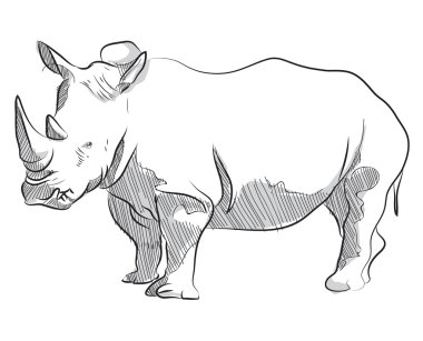 Vektör çizimi el gergedan ayakta resmi çizimi