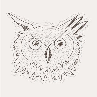 elle çizilmiş vektör kroki dekoratif baykuş çizim