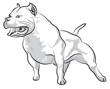 Vektör çizimi el çizim illüstrasyon pitbull kabuk