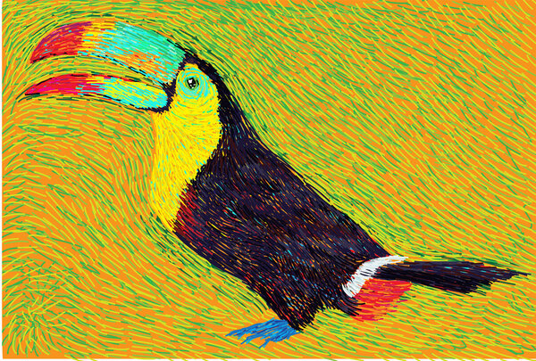 post impressionist style colore toucan bird illustration