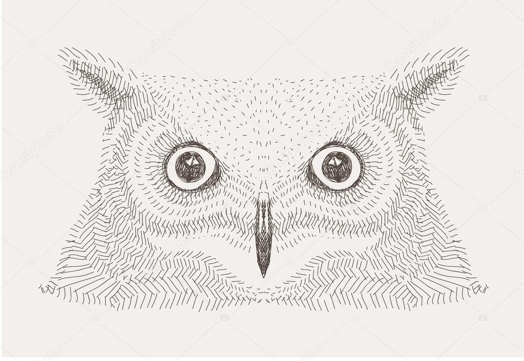 hand drawn vector sketch decorative owl illustration