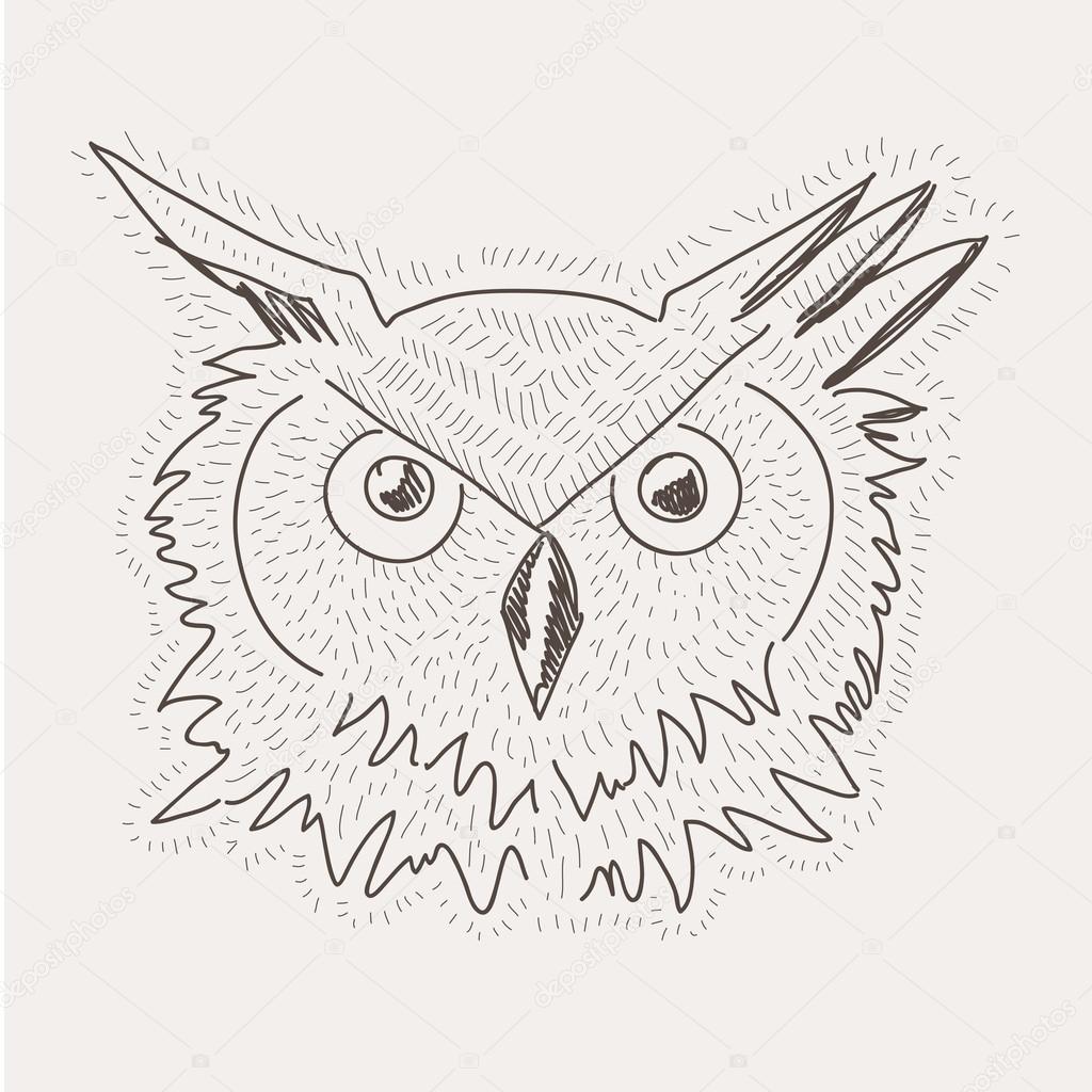 hand drawn vector sketch decorative owl illustration