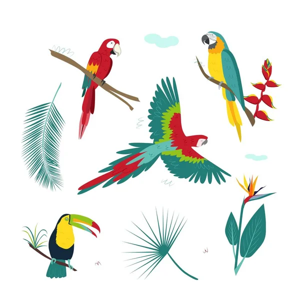 Conjunto Loros Tropicales Colores Plantas Flores Brillantes Ilustración Vectorial Moderna — Vector de stock