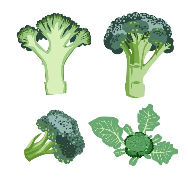 Ensemble Vecteurs Isolés Chou Brocoli Vert Sur Tige Nourriture Végétarienne — Image vectorielle