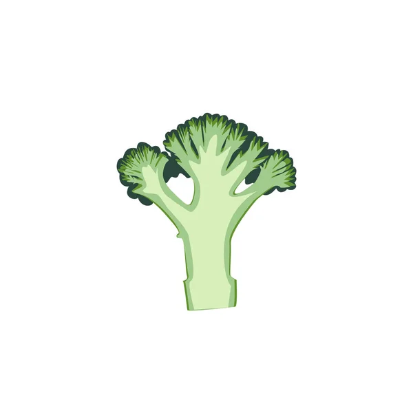 Une Branche Brocoli Vert Dans Une Coupe Isolé Sur Fond — Image vectorielle