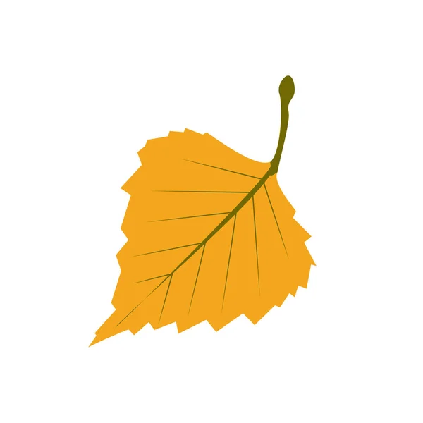 Een Vector Herfst Geel Berkenblad Lijn Stijl Een Witte Achtergrond — Stockvector