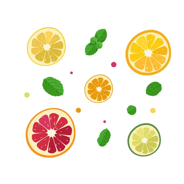 Vector Set Citrus Fruit Slices Flat Style White Background Juicy — Stock Vector