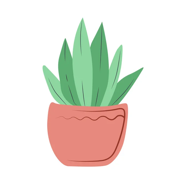 Planta verde casera en una maceta rosa — Vector de stock