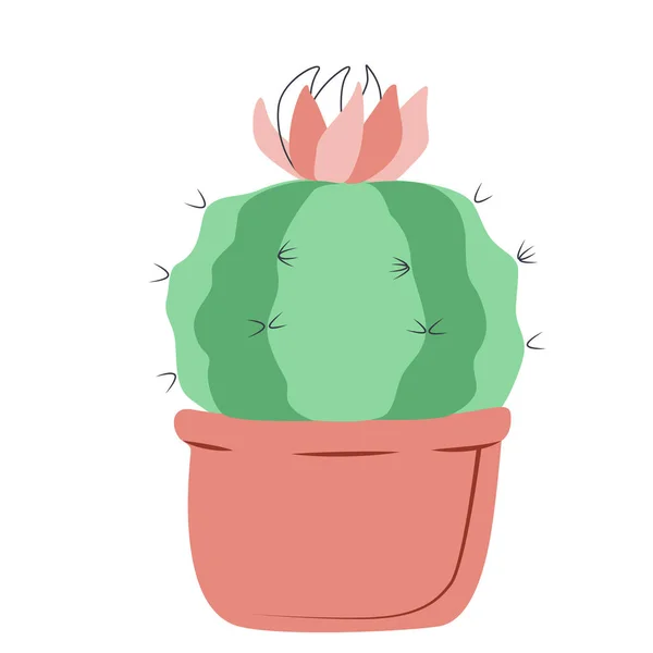 Cactus redondo con una flor en una maceta — Vector de stock