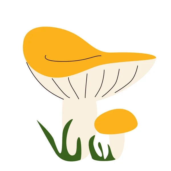 Cogumelos florestais comestíveis com bonés amarelos —  Vetores de Stock