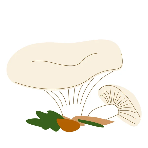 Edible mushrooms with wide caps — Stock Vector