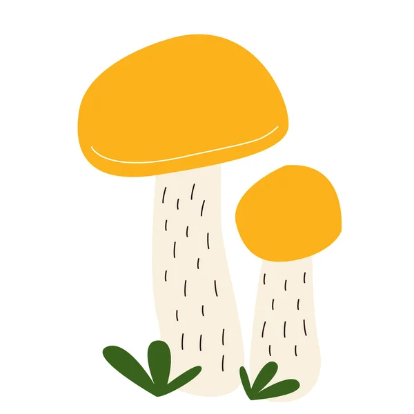 Due funghi commestibili con un berretto giallo — Vettoriale Stock