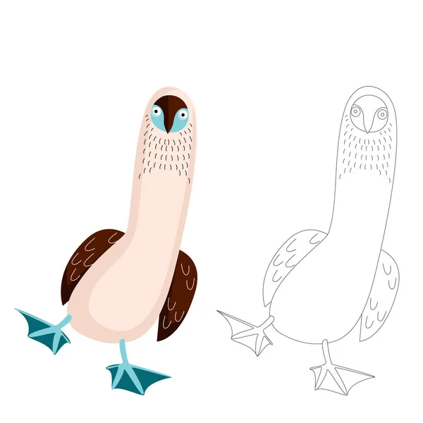 Смешная птица с голубыми лапами — стоковый вектор