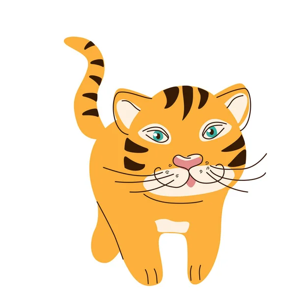 El tigre camina con la cola levantada — Vector de stock