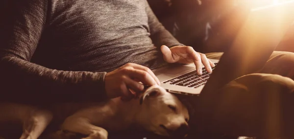 Dizüstü bilgisayarlı erkek ellerinin yakın plan fotoğrafı. Adam evde uzaktan çalışıyor ve köpeği yakınlarda uyuyor.