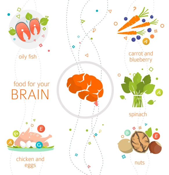 Makanan untuk otak Anda - Stok Vektor