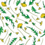 Hand drawn dandelion isolated — Stock Vector #20244425