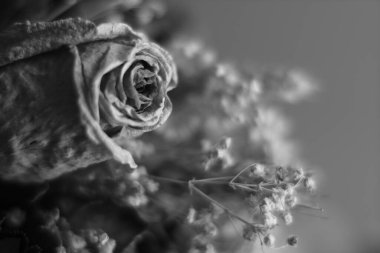 buket siyah ve beyaz düğün