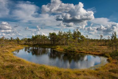 Latvila, kemeru nacionalais parkları