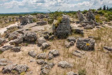 Güneş günü, Bulgaristan, taş orman