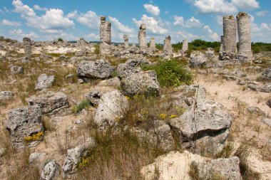 Güneş günü, Bulgaristan, taş orman