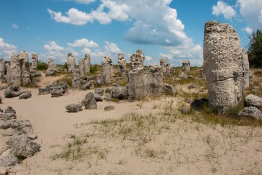 Güneş günü, Bulgaristan, taş orman