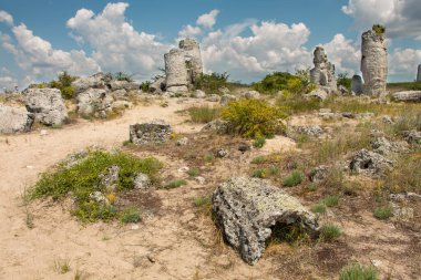 Güneş günü, Bulgaristan, taş orman