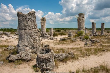 Güneş günü, Bulgaristan, taş orman