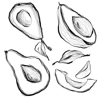 Avokado desensiz çizimler. Meyve ve diyet çizimleri. Satır sanatı