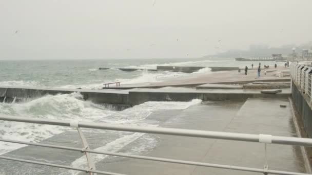 Mar en invierno, poderosas olas golpean el rompeolas en el terraplén de la ciudad. Salpicaduras de espuma marina, niebla, imágenes amplias — Vídeo de stock