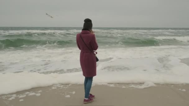 Dívka v maršálním kabátě se podívá do smartphonu, na pozadí chladného zimního moře, s vlnami a mlhavým počasím, racci létají proti šedé obloze — Stock video