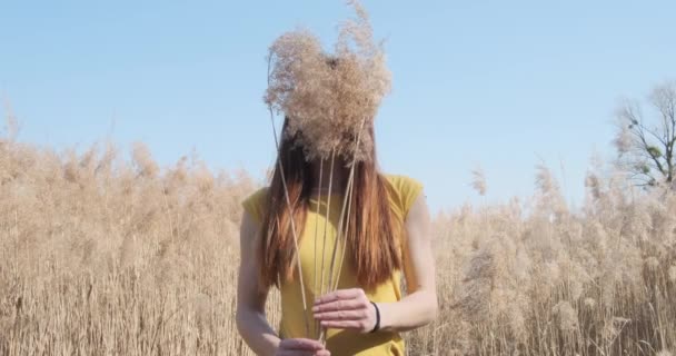 Дівчина тримає букет очерету в руках, закриває обличчя, на тлі тростини поля, чистого дня, середніх кадрів, у повільному русі — стокове відео