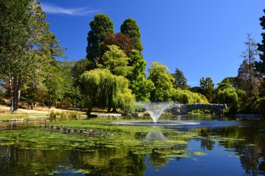 Beacon Hill Park Victoria Bc