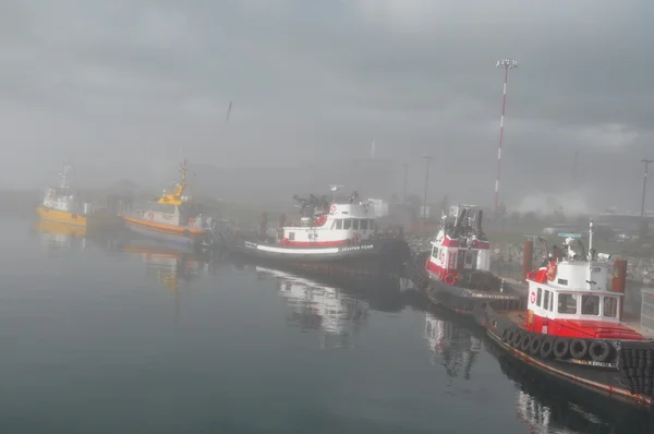 빅토리아 bc 주, 캐나다, 오 그 덴 포인트, 11 월 4 일 2012.Tugboats 및 파일럿 보트 도킹 안개 날씨에. — 스톡 사진