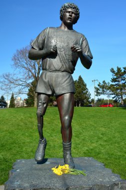 Terry Fox anıt heykel, Victoria Bc,Canada.March 3 2015.The umut Maratonu çalıştırmak ve hala büyük para toplayan kimse kanser için. Terry Fox Kanada'nın en önemli kişidir.